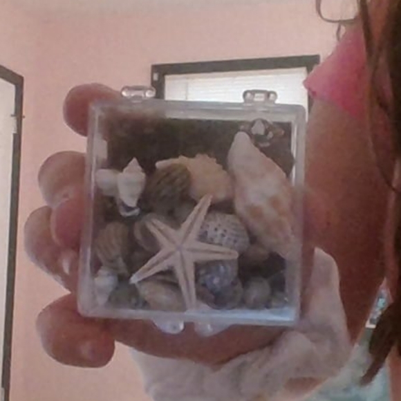 shells - Picture 2 of 3